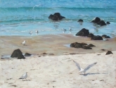 click image for enlargement
